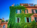 Ivy covered house Royalty Free Stock Photo