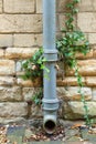 Ivy covered iron drainpipe Royalty Free Stock Photo