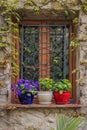 Ivy covered medieval wall and window with potted flowers in Eze Village, the South of France along the Mediterranean Sea Royalty Free Stock Photo