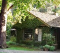 Ivy covered old house Royalty Free Stock Photo