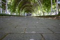 Ivy covered tunnel. Close-up of stone parquets. Blurred people in the background