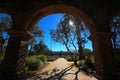 Ivy covered walkway beckons the adventurous Royalty Free Stock Photo