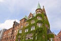 Ivy covered wall of building in Hamburg Royalty Free Stock Photo