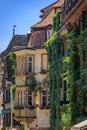 Ivy covered wall of a traditional half timbered house in Strasbourg, France