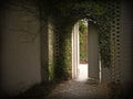 Ivy gateway Royalty Free Stock Photo