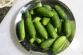 Unripe fruits of Ivy gourd (Kundru) (Coccinia grandis) in a bowl : (pix Sanjiv Shukla) Royalty Free Stock Photo