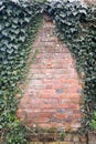 Ivy growing on an old brick wall with copy space - portrait/vertical Royalty Free Stock Photo