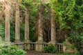 Ivy growing on stone pillars or columns in mountain recreational forest or park Royalty Free Stock Photo