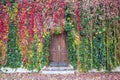 Ivy growing on a wall surrounding old wooden door Royalty Free Stock Photo