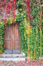 Ivy growing on a wall surrounding old wooden door Royalty Free Stock Photo