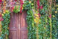 Ivy growing on a wall surrounding old wooden door Royalty Free Stock Photo