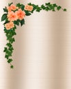 Ivy, Hibiscus and Roses Template Royalty Free Stock Photo