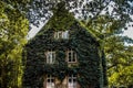 Ivy on a House Facade Royalty Free Stock Photo