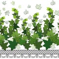 Ivy leaves green climbing wall foliage, vector illustration, border, decorated seamless horizontal Royalty Free Stock Photo