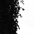 Ivy leaves silhouette