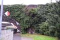 plant on an old stoen bridge Royalty Free Stock Photo