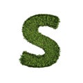 Ivy plant with leaves, green creeper bush and vines forming letter S, English alphabet text font character isolated on white in