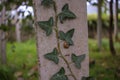 ivy and snail in a concrete column Royalty Free Stock Photo