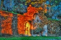 Ivy on the stone wall with evening lights, atsunset Royalty Free Stock Photo