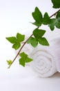 Ivy and towels Royalty Free Stock Photo
