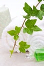 Ivy and towels Royalty Free Stock Photo
