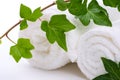 Ivy and towels Royalty Free Stock Photo