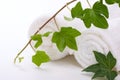 Ivy and towels Royalty Free Stock Photo
