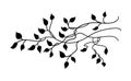 Ivy and vines vector with pretty leaves in nature border design or graphic art element