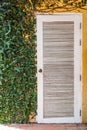 Ivy and white door with yellow wall Royalty Free Stock Photo