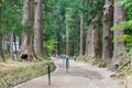 Approach to Chusonji Temple in Hiraizumi, Iwate, Japan. It is part of UNESCO World Heritage Site -