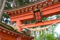 Torii at Takkoku-no-Iwaya Bisyamondo Hall in Hiraizumi, Iwate, Japan.