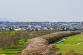 Iwate,Tohoku,Japan on April 26,2018:Cherry-tree avenue and Kitakami town as seen from the top of Jingaoka hillnear Tenshochi Pa Royalty Free Stock Photo