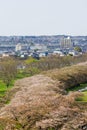 Iwate,Tohoku,Japan on April 26,2018:Cherry-tree avenue and Kitakami town as seen from the top of Jingaoka hillnear Tenshochi Pa Royalty Free Stock Photo