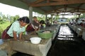 Ixil Indian women wash in indoor laundry room Royalty Free Stock Photo