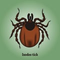 Ixodes tick