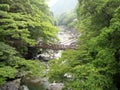 Iya vine bridge or Iya Kazura bridge. A suspension bridge made of the plant called Shirakuchikazura.