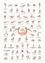 Iyengar yoga poses levels 16-60 Royalty Free Stock Photo