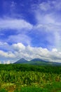 Izalco volcano, El Salvador