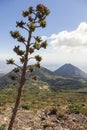 Izalco Volcano in Salvador