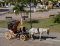 Izamal Yucatan Mexico yellow town horse buckboard wagon sunflowers Royalty Free Stock Photo