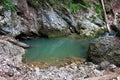 Izbucul Galbenei, karstic spring Royalty Free Stock Photo