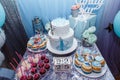 Decorations and candy bar with cake and cupcakes for winter birthday. Frozen cartoon character thematic party
