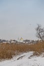 Izmail, Ukraine. February 2022. Winter landscape with snow and reeds, orthodox church on background, flying bird in the sky