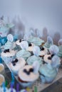 Candy bar for one year old boy first birthday. Muffins with blue creme, blueberries and teddy bear cartoon character illustration.