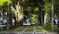 Izmir Tram on rails among the trees and green grass at Cankaya Izmir