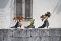 Recycled shoes used as flowerpots. Urla, Izmir, Turkey Royalty Free Stock Photo