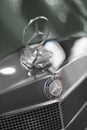 Close up shot of a Mercedes 220S blue car`s 3d logo and grid which produced in 1958. Editorial Shot in Izmir Turkey