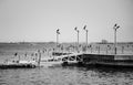 IZMIT, TURKEY. AUGUST 29, 2021. Pier on the embankment. Seagulls