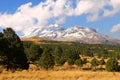 Iztaccihuatl volcano  with forest near puebla city XI Royalty Free Stock Photo