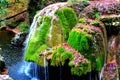 Izvorul Bigar or Bigar Spring, Waterfall is a protected area in Banat, Romania Royalty Free Stock Photo